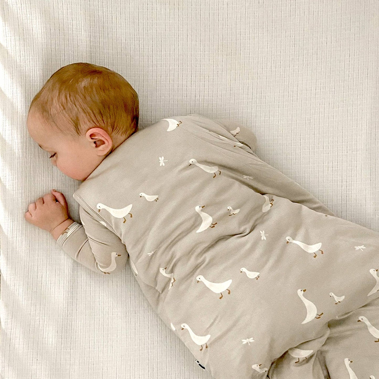 SLEEP BAG 2.5 TOG