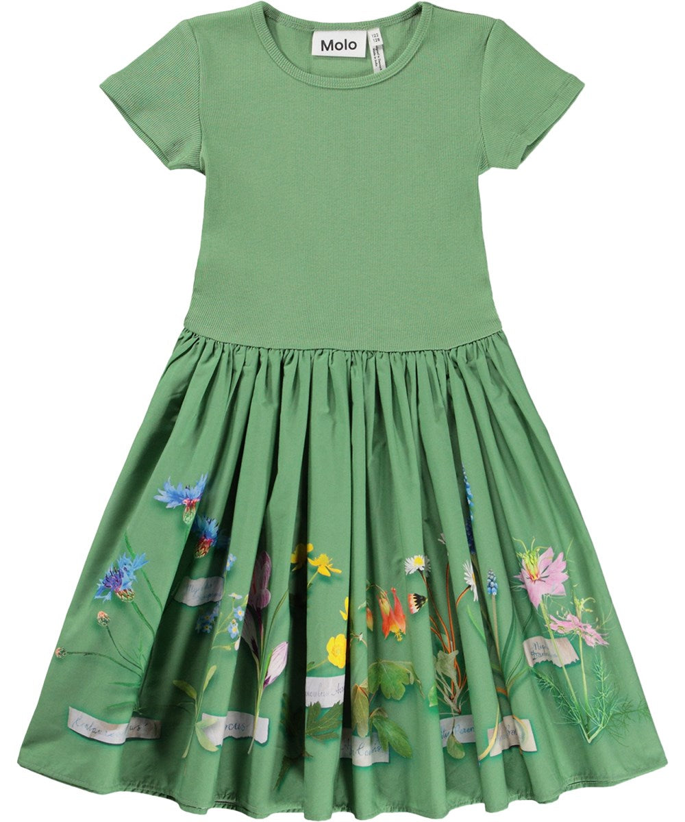 MOLO Cissa Flora Collector