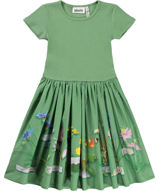 MOLO Cissa Flora Collector