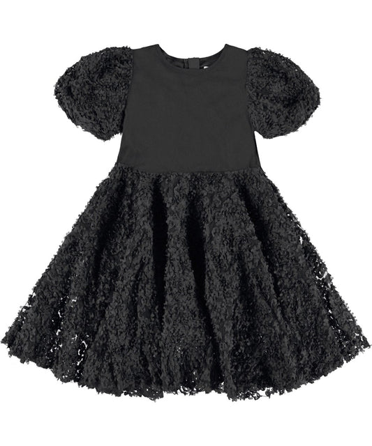 MOLO Cadrianna Black Dress