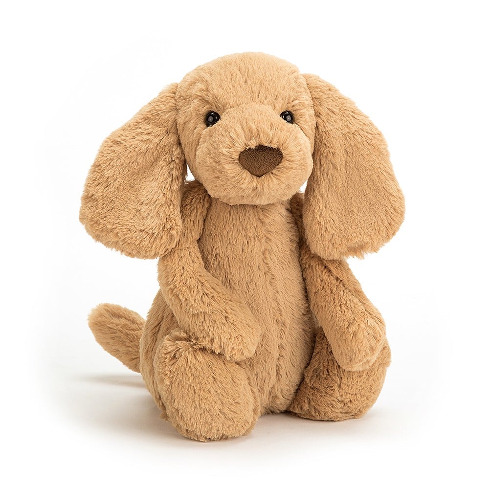 Jellycat Bashful Toffee Puppy Little