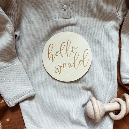 Hello World - Birth Announcement Sign