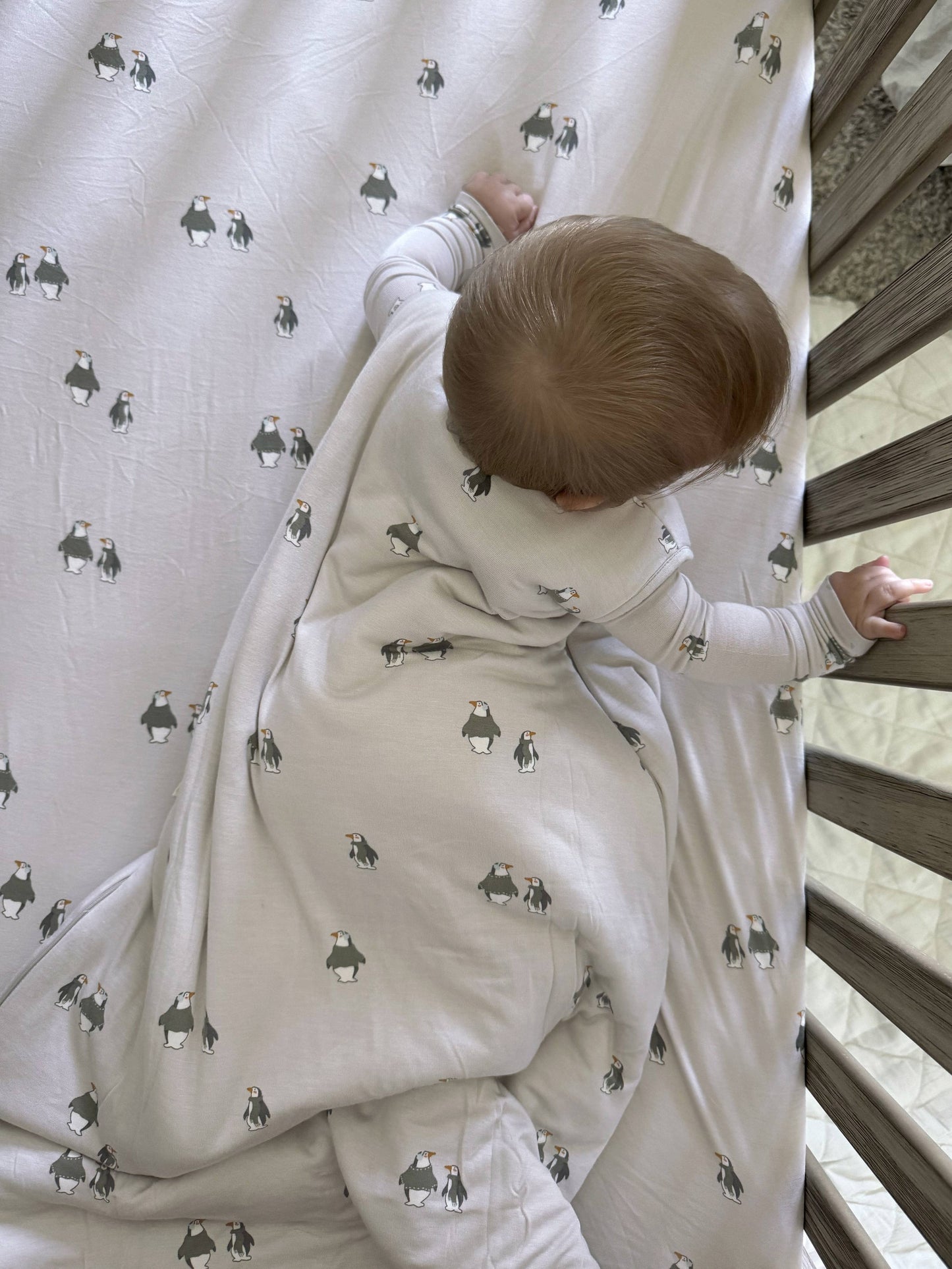 SLEEP BAG 2.5 TOG