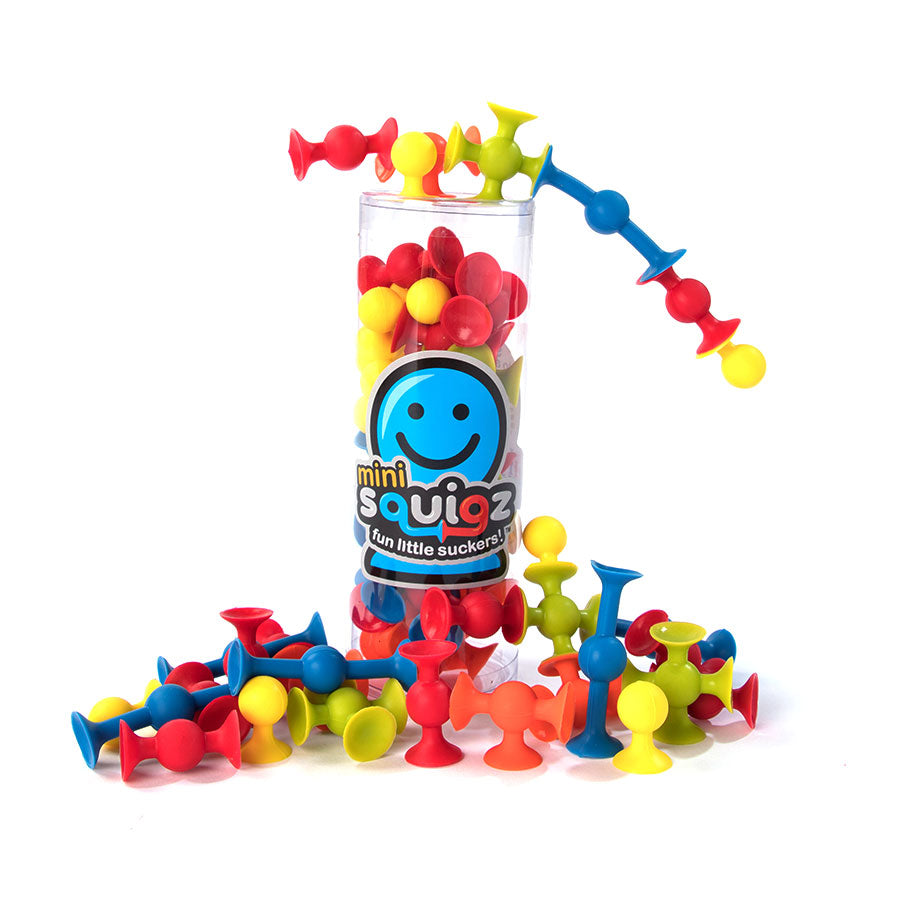 Fat Brain mini Squigz